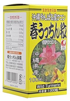 春うっちん粒(900粒*10個) 春うっちん粒 容器入900粒 NAKAZENオンラインショップ